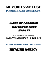 MEMORIES WE LOST QNS.pdf